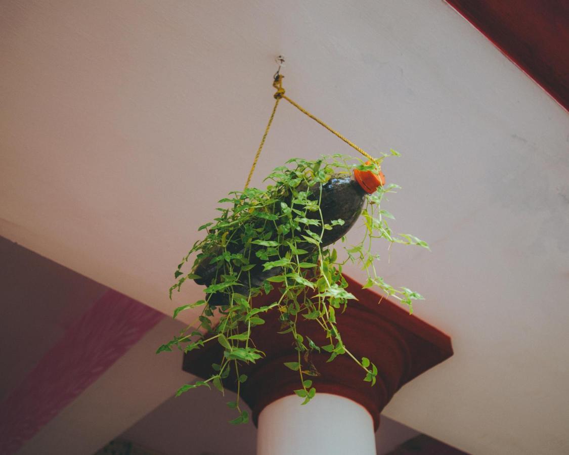 Hostelexp, Varkala - A Beach Town Hostel エクステリア 写真