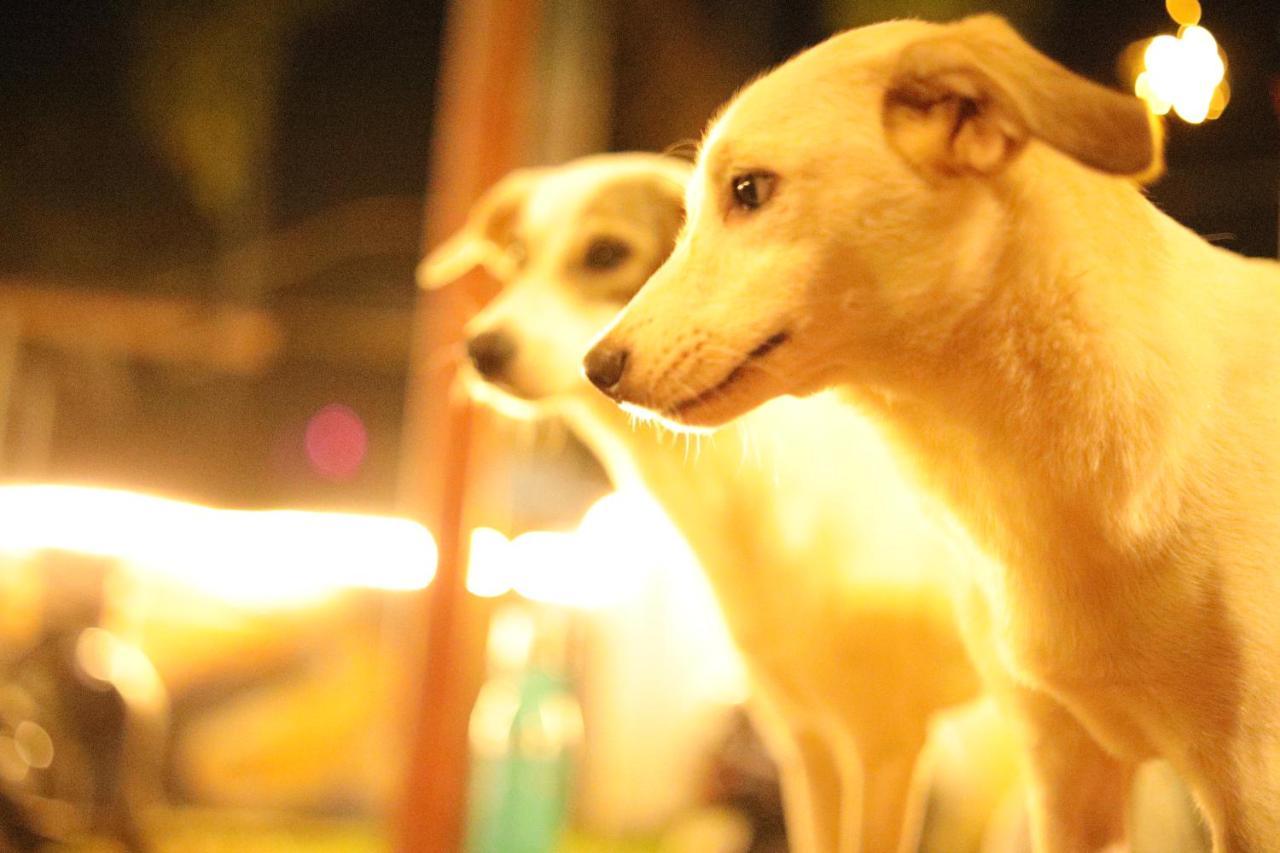 Hostelexp, Varkala - A Beach Town Hostel エクステリア 写真